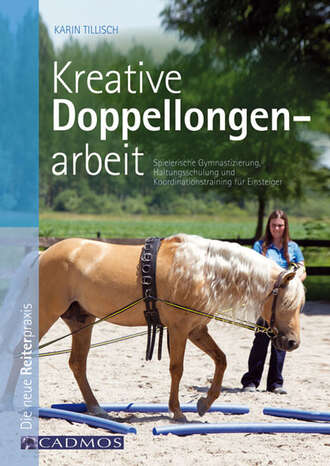 Karin  Tillisch. Kreative Doppellongenarbeit