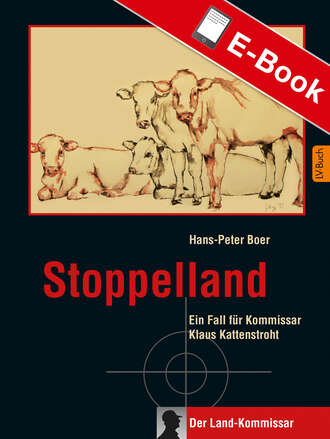 Hans-Peter Boer. Stoppelland