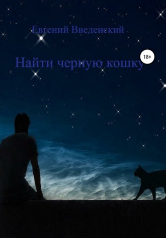 Обложка книги «Найти чёрную кошку»