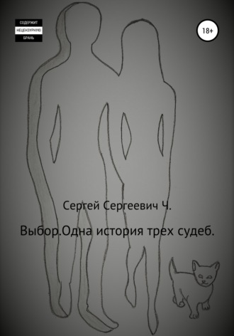 Обложка книги «Выбор. Одна история трех судеб»