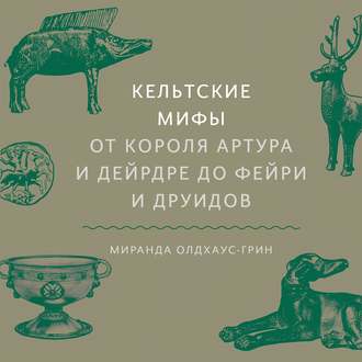 Обложка книги «Кельтские мифы»