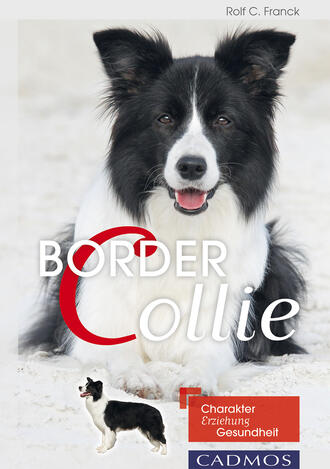 Rolf C.  Franck. Border Collie