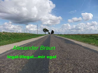 Alexander  Braun. Legal - illegal... Mir egal