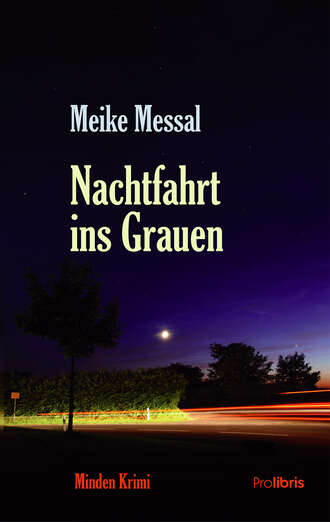 Meike Messal. Nachtfahrt ins Grauen