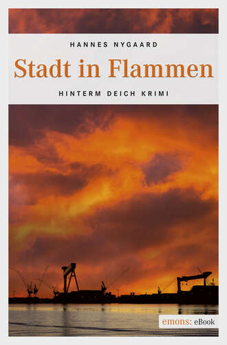 Hannes  Nygaard. Stadt in Flammen