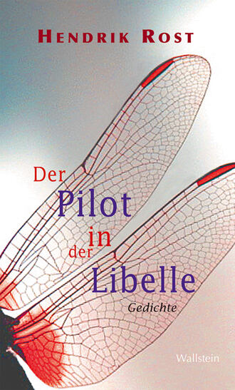 Hendrik Rost. Der Pilot in der Libelle