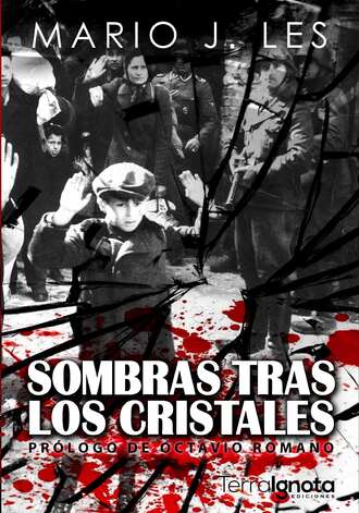 Mario J. Les. Sombras tras los cristales