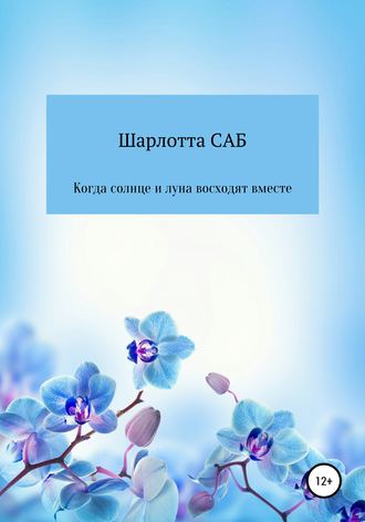 Обложка книги «Когда солнце и луна восходят вместе»