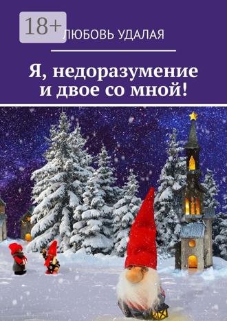 Обложка книги «Я, недоразумение и двое со мной!»
