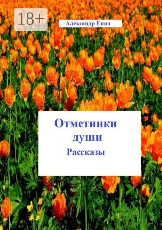 Обложка книги «Отметинки души»