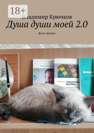 Обложка книги «Душа души моей 2.0. флэш-фэкшн»