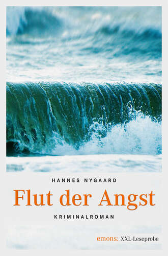 Hannes  Nygaard. Flut der Angst