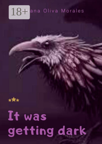 Обложка книги «It was getting dark»