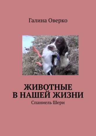 Галина Оверко. Животные в нашей жизни. Спаниель Шери