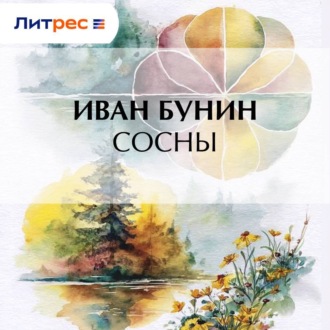 Обложка книги «Сосны»