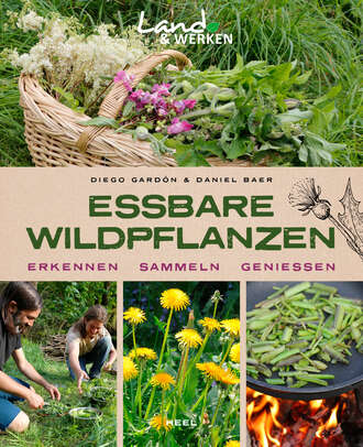 Daniel Baer. Essbare Wildpflanzen