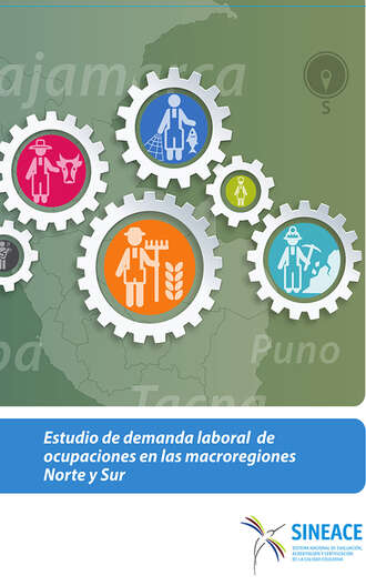 Sistema Nacional de Evaluaci?n, Acreditaci?n y Certificaci?n de la Calidad Educativa. Estudio de demanda laboral de ocupaciones en las macroregiones Norte y Sur