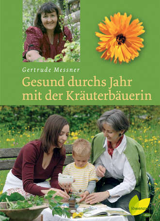 Gertrude Messner. Gesund durchs Jahr mit der Kr?uterb?uerin