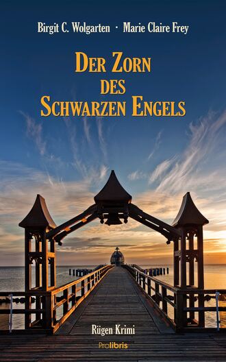 Birgit C. Wolgarten. Der Zorn des schwarzen Engels