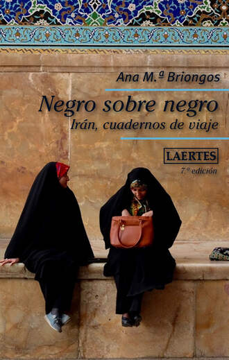 Ana M. Briongos Guadayol. Negro sobre negro