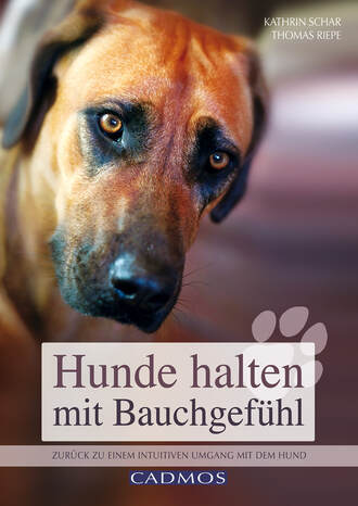 Kathrin Schar. Hunde halten mit Bauchgef?hl