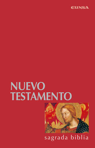 Facultad de Teolog?a. Nuevo Testamento