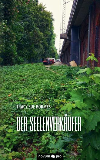 Tracy Sue Bormes. Der Seelenverk?ufer