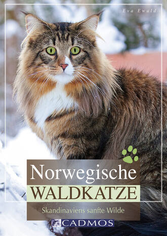 Eva Ewald. Norwegische Waldkatze