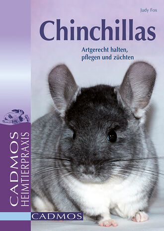 Judy Fox. Chinchillas