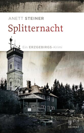 Anett Steiner. Splitternacht