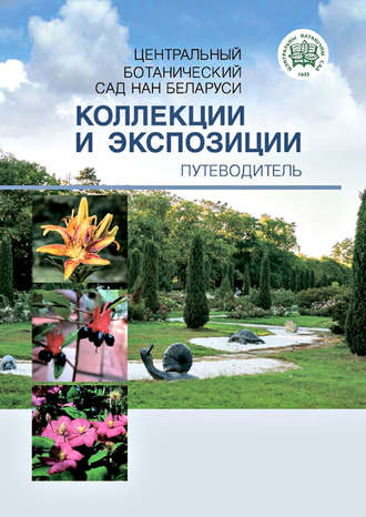 Обложка книги «Центральный ботанический сад НАН Беларуси. Коллекции и экспозиции. Путеводитель»