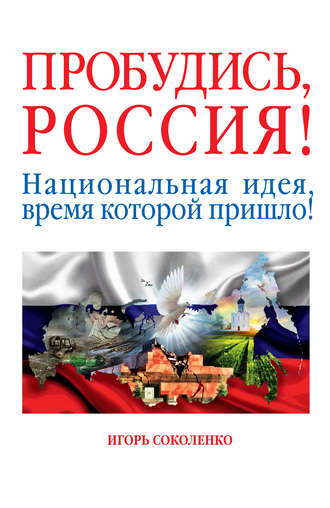Обложка книги «Пробудись, Россия! Национальная идея, время которой пришло!»