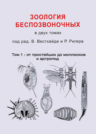 Обложка книги «Зоология беспозвоночных. Том 1. От простейших до моллюсков и артропод»