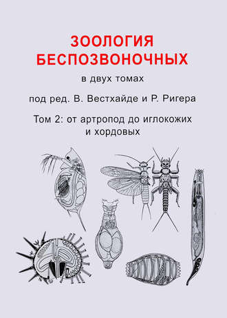 Обложка книги «Зоология беспозвоночных. Том 2. От артропод до иглокожих и хордовых»