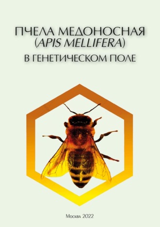 Обложка книги «Пчела медоносная (Apis mellifera) в генетическом поле. Эколого-генетические характеристики (pdf+epub)»