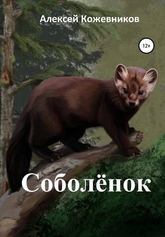 Обложка книги «Соболёнок»