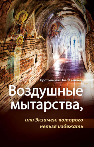 Обложка книги «Воздушные мытарства, или Экзамен, которого нельзя избежать»