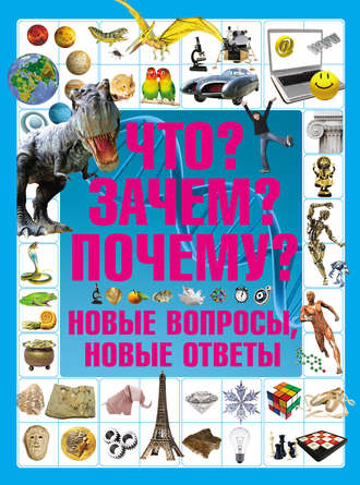 Обложка книги «Что? Зачем? Почему? Новые вопросы, новые ответы»