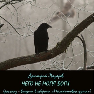 Обложка книги «Чего не могут боги»