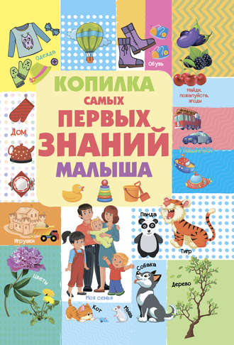Обложка книги «Копилка самых первых знаний малыша»