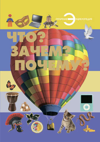 Обложка книги «Что? Зачем? Почему?»