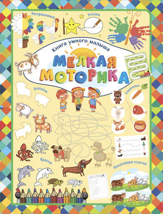 Обложка книги «Мелкая моторика»