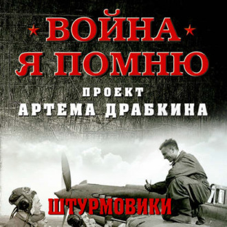 Обложка книги «Штурмовики»