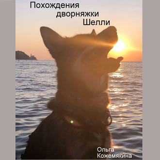 Обложка книги «Похождения дворняжки Шелли»