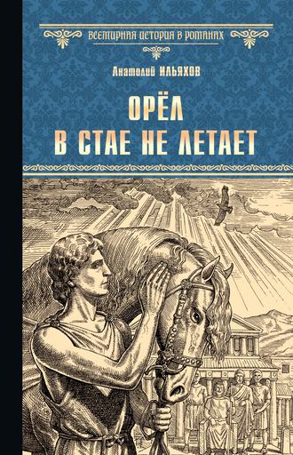 Обложка книги «Орёл в стае не летает»