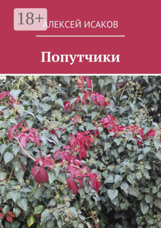 Обложка книги «Попутчики»