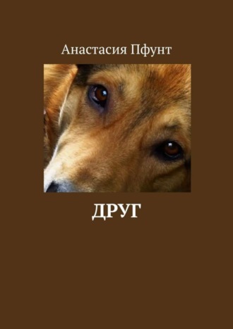Обложка книги «Друг»