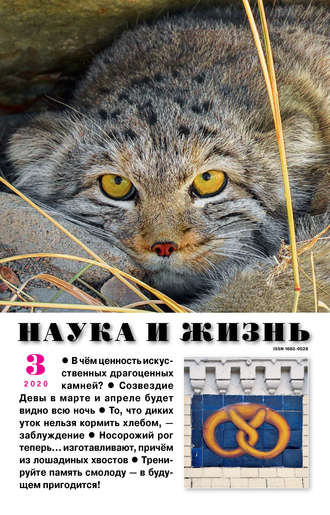 Обложка книги «Наука и жизнь №03/2020»