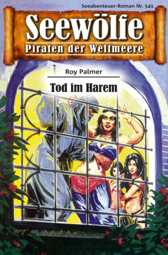 Roy Palmer. Seew?lfe - Piraten der Weltmeere 541