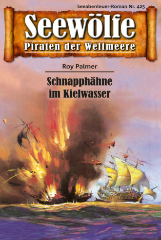 Roy Palmer. Seew?lfe - Piraten der Weltmeere 425